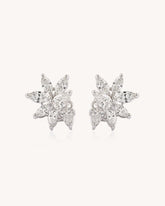 Floral Earrings in 18KT gold | 2.23ct | CDE1018