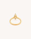 Solitaire Ring in 18KT gold | 3.1ct | CDR0455