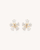 Floral Earrings in 18KT gold | 2.43ct | CDE1328